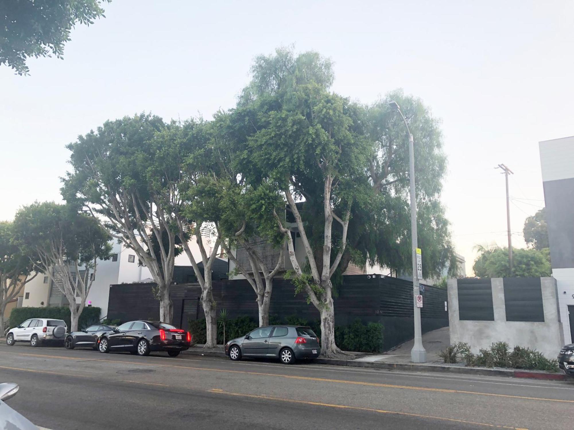 Venice Beach Studio With Large Private Patio Steps To The Beach Los Angeles Exteriör bild