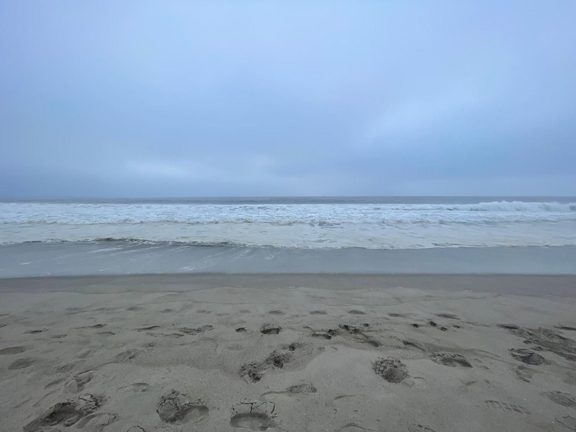 Venice Beach Studio With Large Private Patio Steps To The Beach Los Angeles Exteriör bild