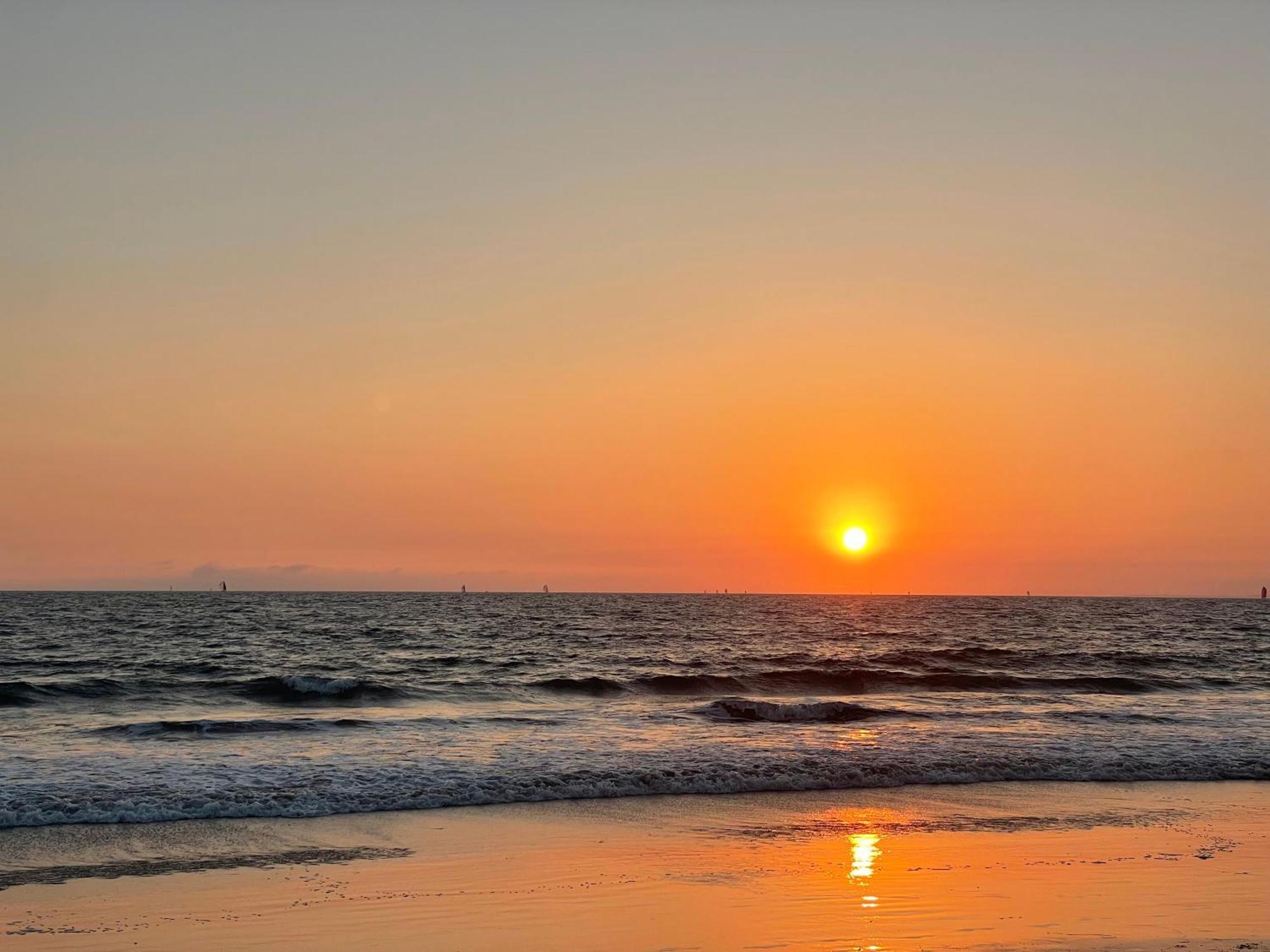 Venice Beach Studio With Large Private Patio Steps To The Beach Los Angeles Exteriör bild
