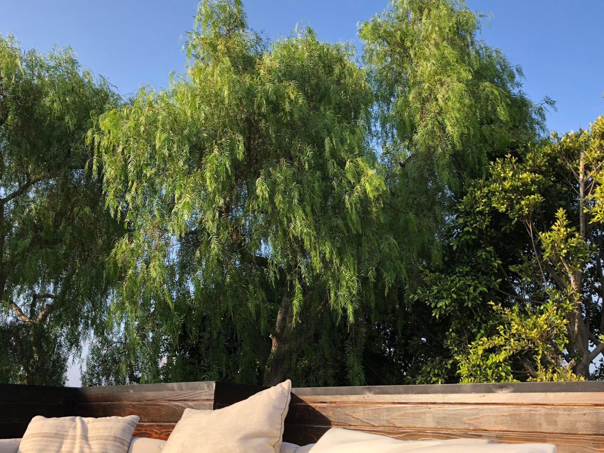 Venice Beach Studio With Large Private Patio Steps To The Beach Los Angeles Exteriör bild