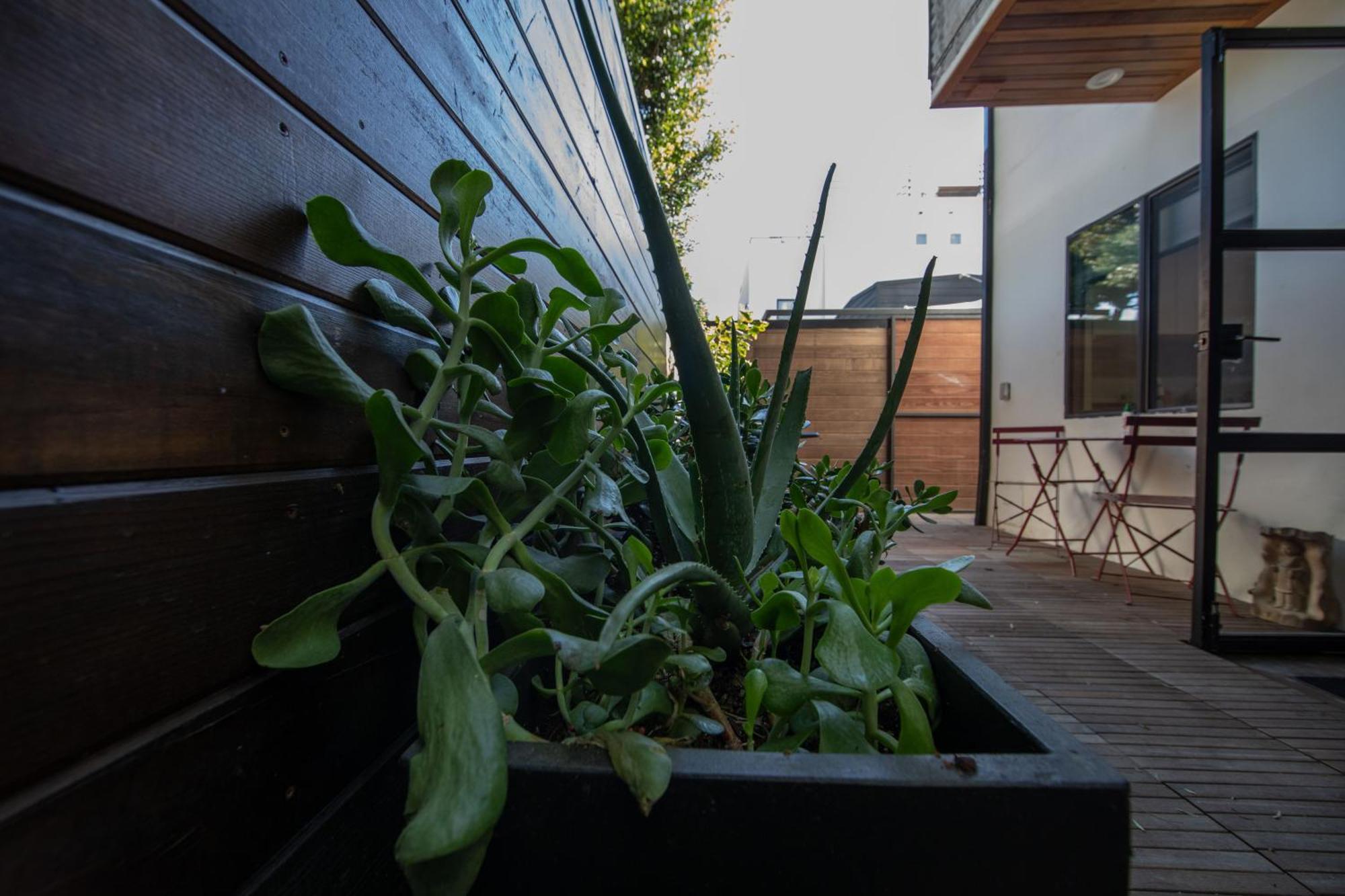 Venice Beach Studio With Large Private Patio Steps To The Beach Los Angeles Exteriör bild
