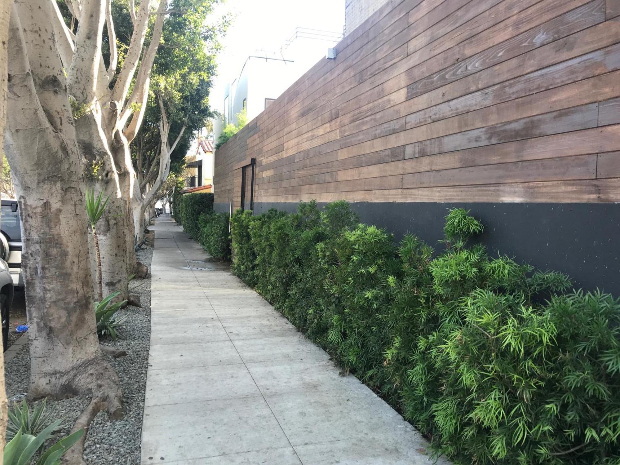 Venice Beach Studio With Large Private Patio Steps To The Beach Los Angeles Exteriör bild