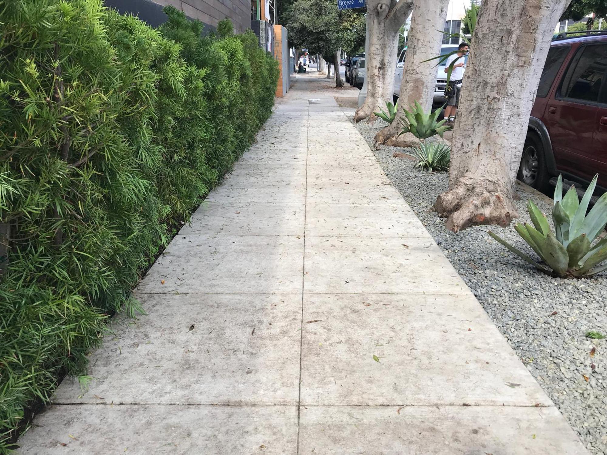 Venice Beach Studio With Large Private Patio Steps To The Beach Los Angeles Exteriör bild